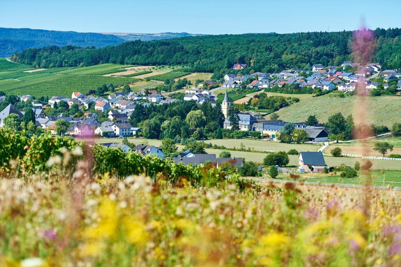 Ferienweingut Willems Oberemmel ภายนอก รูปภาพ