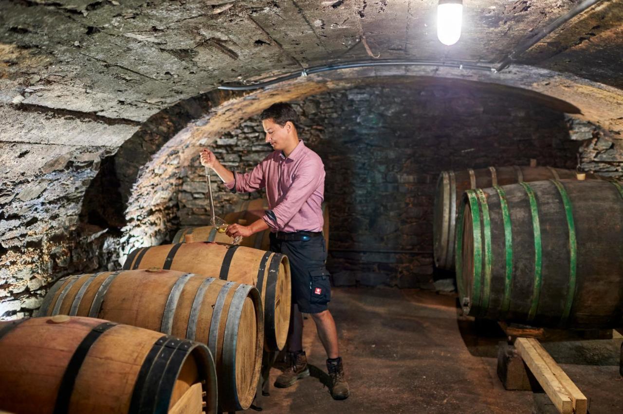 Ferienweingut Willems Oberemmel ภายนอก รูปภาพ